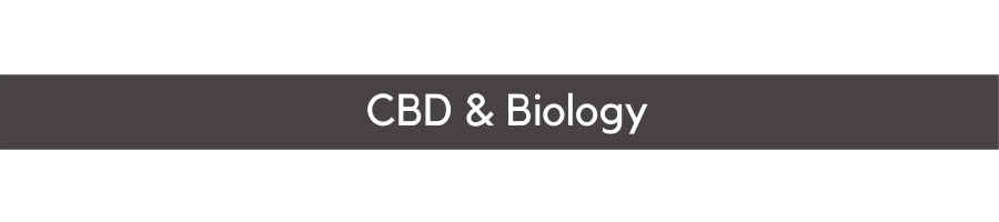 Image link to Mighty Green's 'CBD & Biology' Page